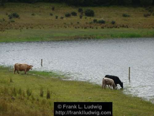 Lough Nasool